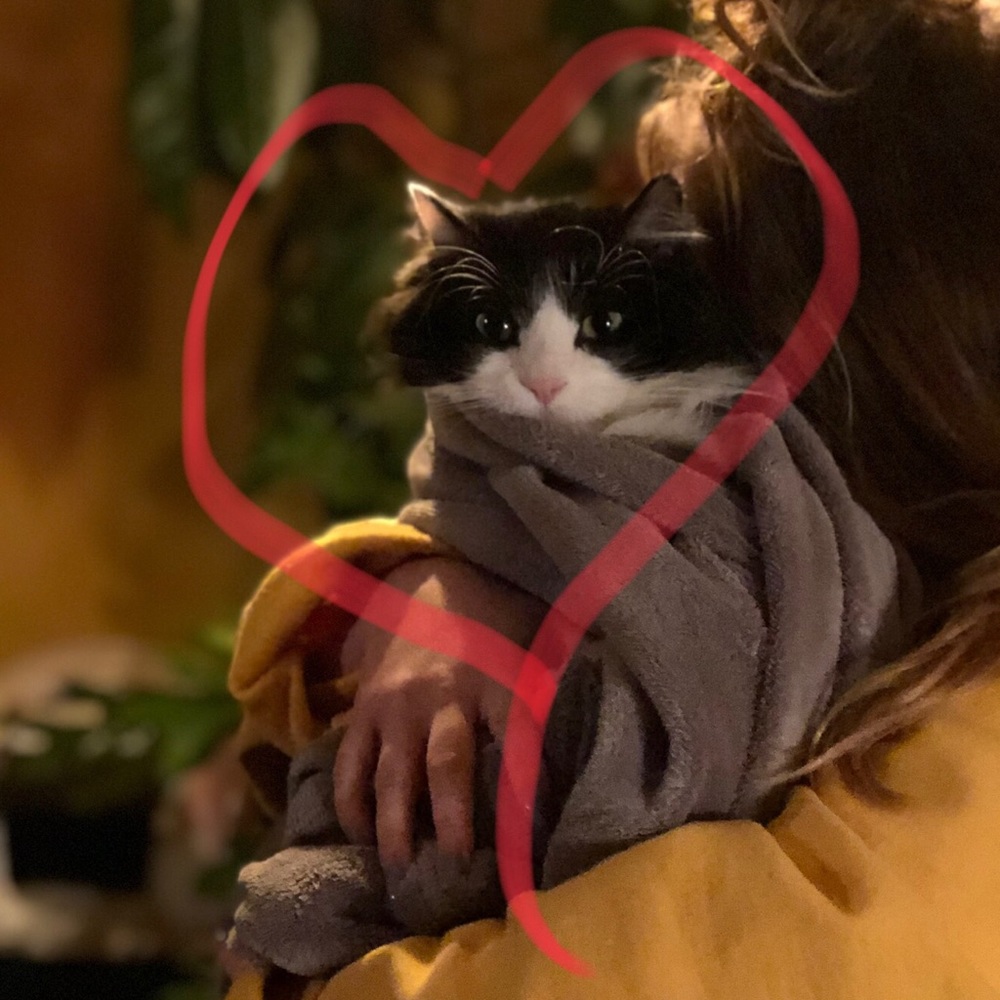 Meet your Posher, Cynthia